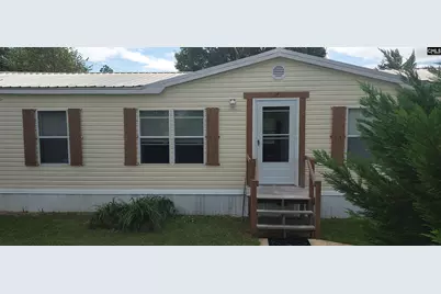 156 Peeler Road, Gaston, SC 29053 - Photo 7