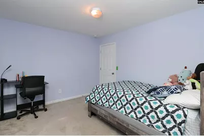 424 Maypop Lane, Irmo, SC 29063 - Photo 41