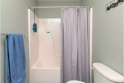 424 Maypop Lane, Irmo, SC 29063 - Photo 43