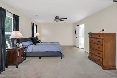 424 Maypop Lane, Irmo, SC 29063 - Photo 29