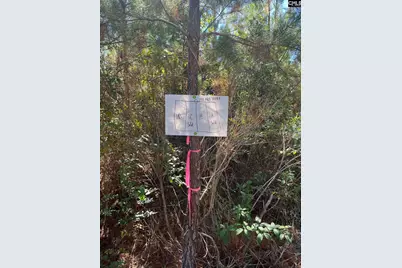 Bff 1B Jc Barefoot Road Bff 1B #BFF 1B, Patrick, SC 29584 - Photo 7