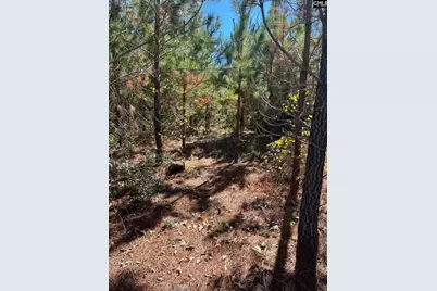 Bff 1B Jc Barefoot Road Bff 1B #BFF 1B, Patrick, SC 29584 - Photo 23