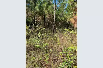 Bff 1B Jc Barefoot Road Bff 1B #BFF 1B, Patrick, SC 29584 - Photo 11