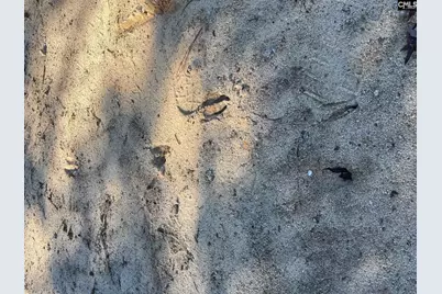 Bff 1B Jc Barefoot Road Bff 1B #BFF 1B, Patrick, SC 29584 - Photo 31