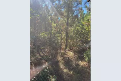 Bff 1B Jc Barefoot Road Bff 1B #BFF 1B, Patrick, SC 29584 - Photo 19