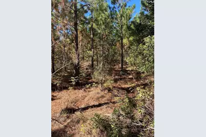 Bff 1B Jc Barefoot Road Bff 1B #BFF 1B, Patrick, SC 29584 - Photo 15