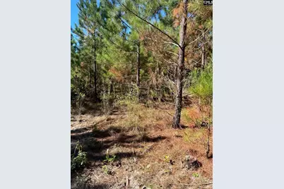 Bff 1B Jc Barefoot Road Bff 1B #BFF 1B, Patrick, SC 29584 - Photo 13