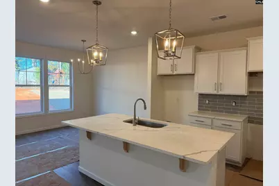 566 Griffon Drive, Chapin, SC 29036 - Photo 3