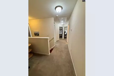 520 Spanish Leaf Lane, West Columbia, SC 29169 - Photo 13