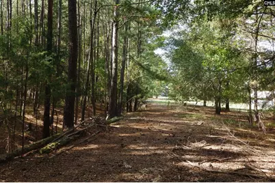 28 Chalet Road, Prosperity, SC 29127 - Photo 11