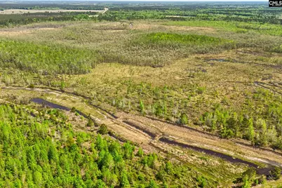Tbd Alligator Road, Bamberg, SC 29843 - Photo 19