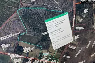 0 Hwy 178 Hwy, Bowman, SC 29018 - Photo 1