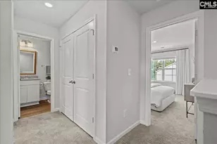 1036 Tundra Teal Ln, Columbia, SC 29210 - Photo 5