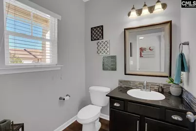 445 Crawley Lane, Chapin, SC 29036 - Photo 3