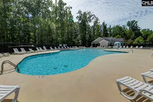 445 Crawley Ln, Chapin, SC 29036 - Photo 41