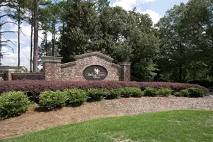 218 Backspin Dr, Elgin, SC 29045 - Photo 27