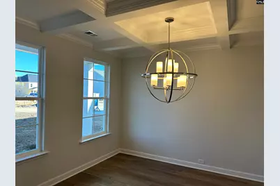 302 Rising Stream Way, Chapin, SC 29036 - Photo 5