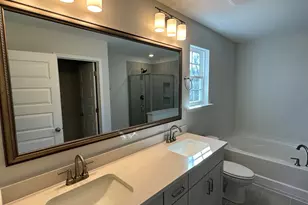 302 Rising Stream Way, Chapin, SC 29036 - Photo 9