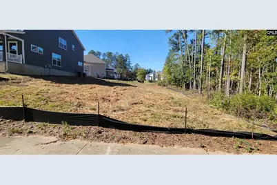 1005 Coogler Crossing Drive, Blythewood, SC 29016 - Photo 3