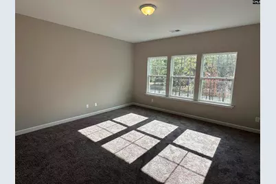 322 Rising Stream Way, Chapin, SC 29036 - Photo 27