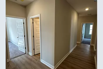 322 Rising Stream Way, Chapin, SC 29036 - Photo 31