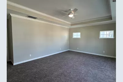 322 Rising Stream Way, Chapin, SC 29036 - Photo 17