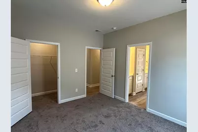 322 Rising Stream Way, Chapin, SC 29036 - Photo 23
