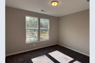 322 Rising Stream Way, Chapin, SC 29036 - Photo 11