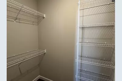 322 Rising Stream Way, Chapin, SC 29036 - Photo 19