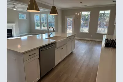 322 Rising Stream Way, Chapin, SC 29036 - Photo 5