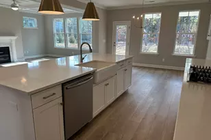 322 Rising Stream Way, Chapin, SC 29036 - Photo 5