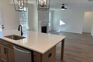 318 Rising Stream Way, Chapin, SC 29036 - Photo 7