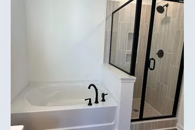 318 Rising Stream Way, Chapin, SC 29036 - Photo 11