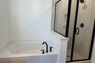 318 Rising Stream Way, Chapin, SC 29036 - Photo 11