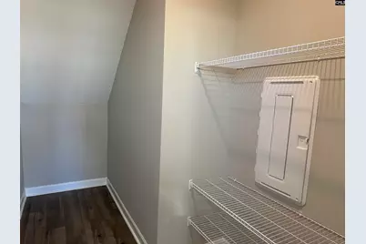 314 Rising Stream Way, Chapin, SC 29036 - Photo 17