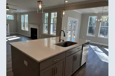314 Rising Stream Way, Chapin, SC 29036 - Photo 5