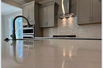 314 Rising Stream Way, Chapin, SC 29036 - Photo 7