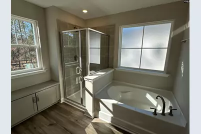 314 Rising Stream Way, Chapin, SC 29036 - Photo 13