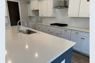 310 Rising Stream Way, Chapin, SC 29036 - Photo 7