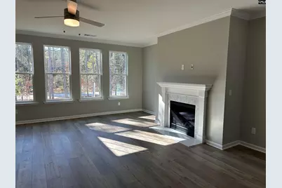 310 Rising Stream Way, Chapin, SC 29036 - Photo 11