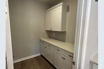 310 Rising Stream Way, Chapin, SC 29036 - Photo 9