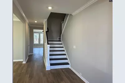 310 Rising Stream Way, Chapin, SC 29036 - Photo 3