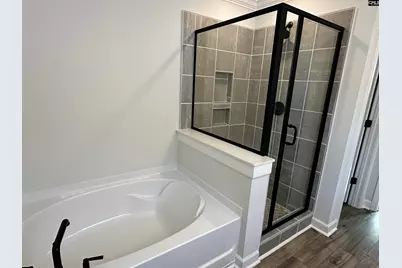 306 Rising Stream Way, Chapin, SC 29036 - Photo 15