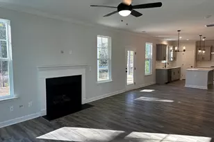 306 Rising Stream Way, Chapin, SC 29036 - Photo 7