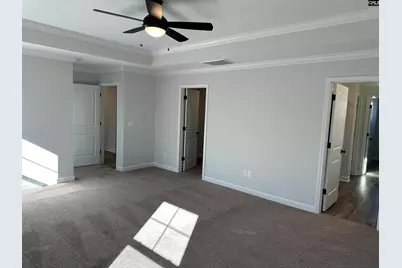 306 Rising Stream Way, Chapin, SC 29036 - Photo 13