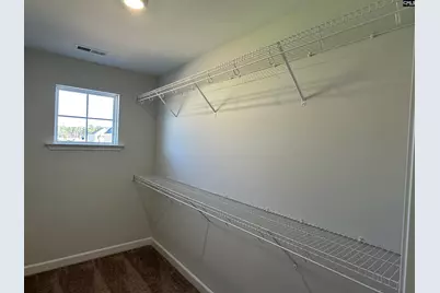 306 Rising Stream Way, Chapin, SC 29036 - Photo 17