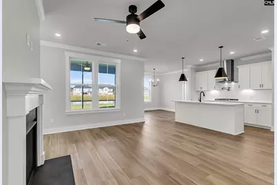 605 Falling Leaf Lane, Chapin, SC 29036 - Photo 5