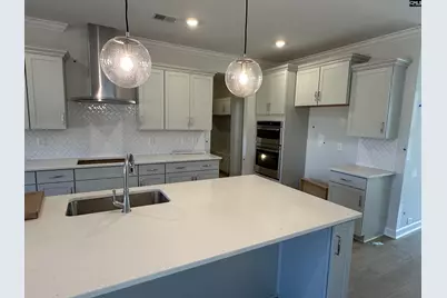 609 Falling Leaf Lane, Chapin, SC 29036 - Photo 11