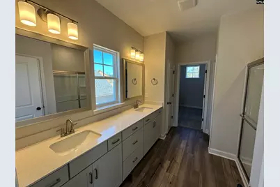 387 Rising Stream Way, Chapin, SC 29036 - Photo 13
