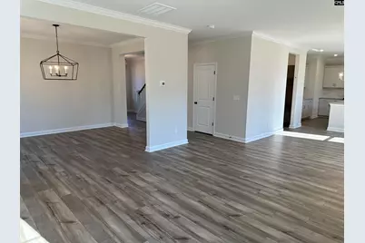387 Rising Stream Way, Chapin, SC 29036 - Photo 5